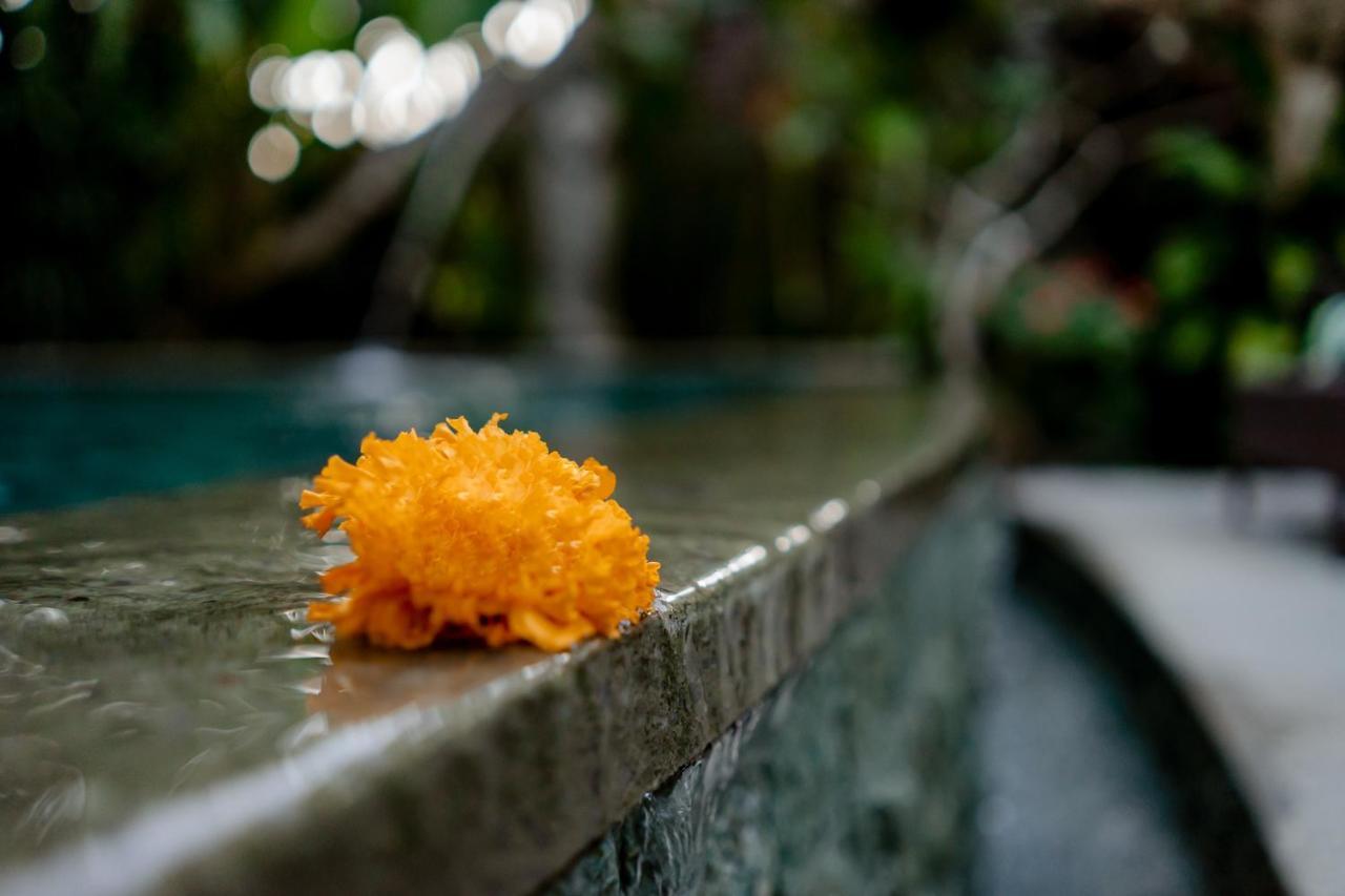 D'Bale Ananda Ubud Villa Extérieur photo