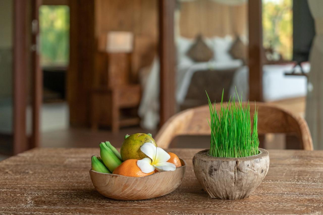 D'Bale Ananda Ubud Villa Extérieur photo